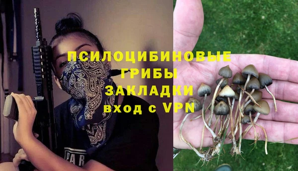 ALPHA PVP Алзамай